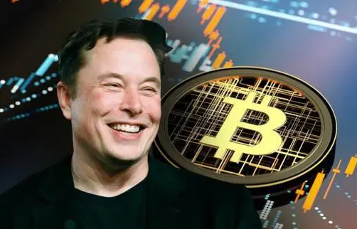 马斯克谈比特币和货币-第1张图片-欧意下载