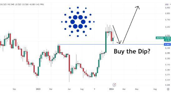 ADA 跌至0.52美元是时候买入了吗？-第1张图片-欧意下载