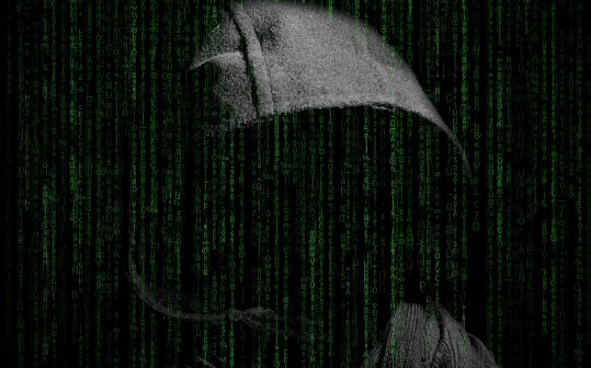 Manta Network在交易所上市后不久遭受DDoS攻击-第1张图片-欧意下载