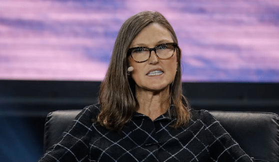 ARK 首席执行官Cathie Wood称比特币是“所有加密创意中最大的”-第1张图片-欧意下载