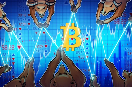 Bitfinex比特币多头升至30亿美元-第1张图片-欧意下载