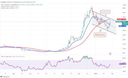 比特币区间盘整为 SOL、SUI 等虚拟币奠定了基础-第5张图片-欧意下载 比特币区间盘整为 SOL、SUI 等虚拟币奠定了基础-第5张图片-欧意下载