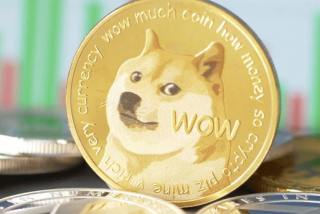 狗狗币持有者被敦促在黑客狂潮中提高安全性