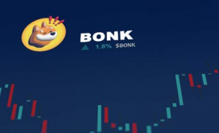 错过了BONK拉力赛为不断扩大的 P2E 领域提供了新的机会