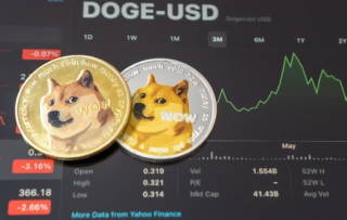 错过了2021年的狗狗币激增