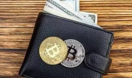 钱包和交易所有什么区别-第1张图片-binance下载