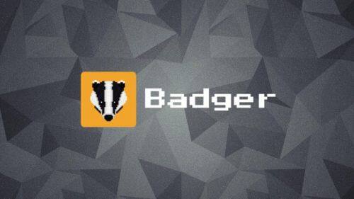 什么是Badger DAO币-第1张图片-binance下载