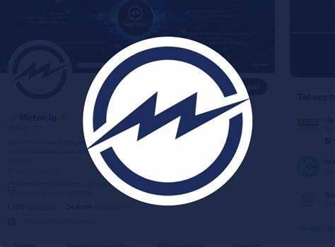 什么是Meter Governance(MTRG)币-第1张图片-binance下载