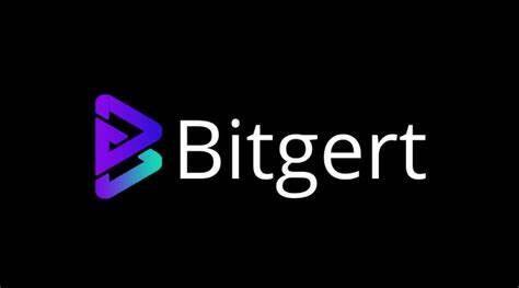 什么是Bitgert(BRISE)币-第1张图片-binance下载