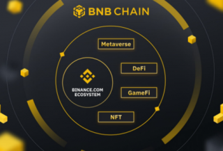 如何参与binance学习赚币