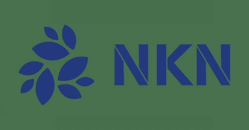 什么是NKN币-第1张图片-binance下载