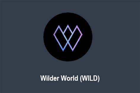 什么是Wilder World(WILD)币-第1张图片-binance下载