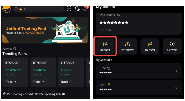 Bybit如何充币-第3张图片-binance下载