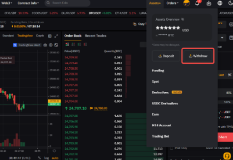 Bybit如何链上提币-第2张图片-binance下载