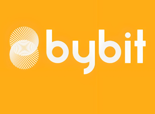 Bybit交易所如何进行跟单-第1张图片-binance下载