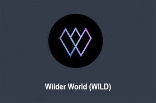 什么是Wilder World(WILD)币