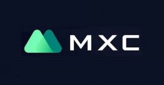 MX TOKEN(MX)是什么币种