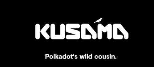 Kusama(KSM)币是什么-第1张图片-binance下载