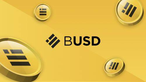 BinanceUSD(BUSD)币种介绍-第1张图片-binance下载