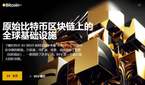BSV币是什么币种-第1张图片-binance下载