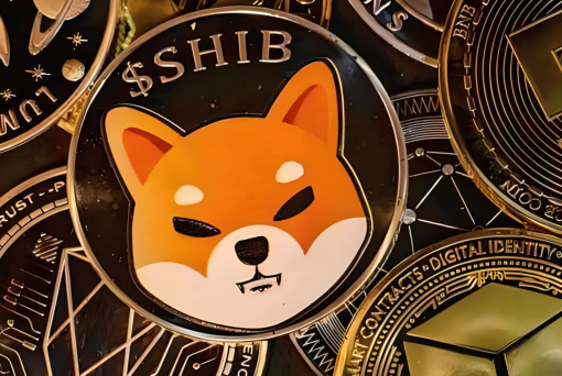 哪个交易所比较适合新手-第1张图片-欧意下载