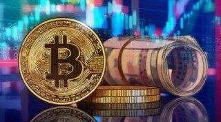 PolyDoge币是什么