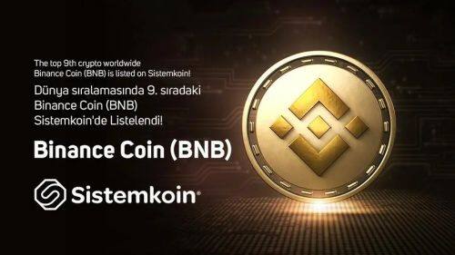 BNB币未来前景如何-第1张图片-欧意下载