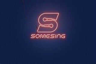 SOMESING(SSX)是什么币