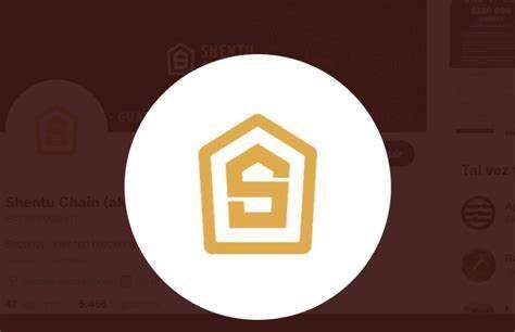 什么是Shentu(CTK)币-第1张图片-欧意下载