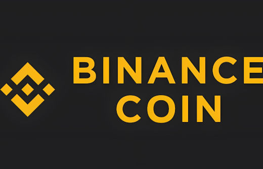 如何使用BIAN支付付款-第1张图片-欧意下载