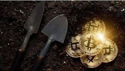 萨摩耶币（SAMO）是什么时候发行的？SAMO币可以做什么？-第1张图片-binance下载