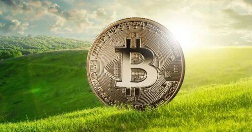 WEWE值得长期持有吗? WEWE最高的时候是多少钱一枚? -第1张图片-binance下载