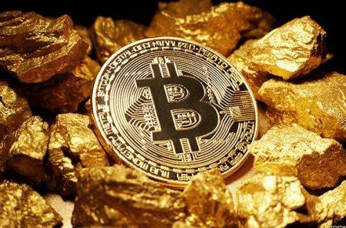 TREMP是什么币？TREMP币的价格变化历史-第1张图片-binance下载